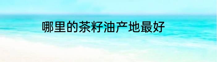 哪里的茶籽油产地最好
