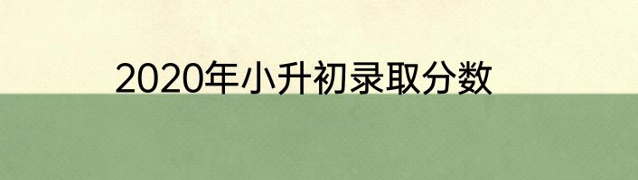 2020年小升初录取分数