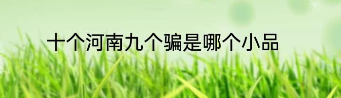 十个河南九个骗是哪个小品
