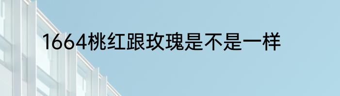 1664桃红跟玫瑰是不是一样