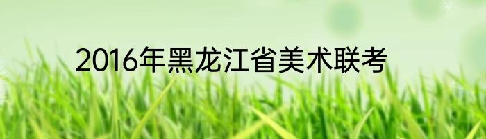 2016年黑龙江省美术联考