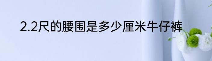 2.2尺的腰围是多少厘米牛仔裤