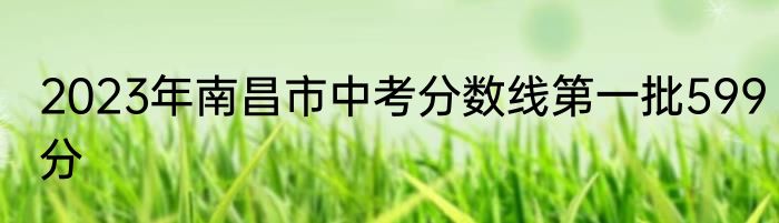 2023年南昌市中考分数线第一批599分