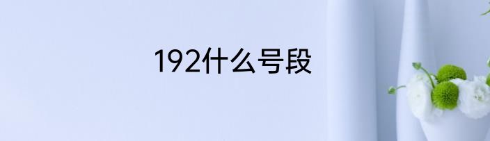 192什么号段