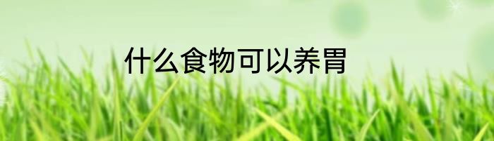 什么食物可以养胃