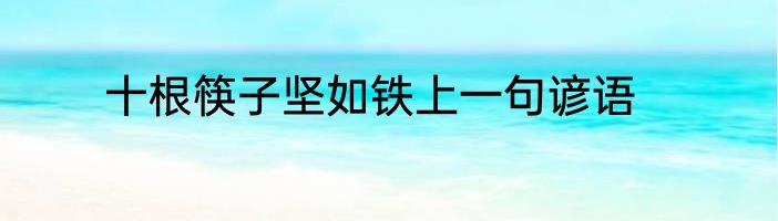 十根筷子坚如铁上一句谚语