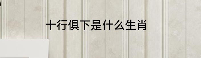 十行俱下是什么生肖