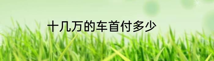十几万的车首付多少