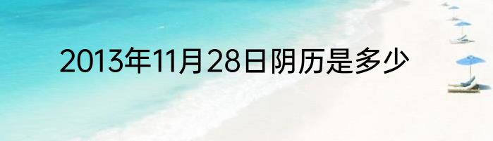 2013年11月28日阴历是多少