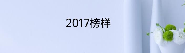 2017榜样