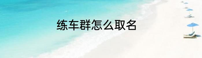 练车群怎么取名