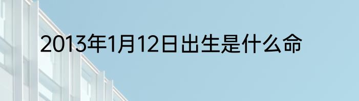 2013年1月12日出生是什么命