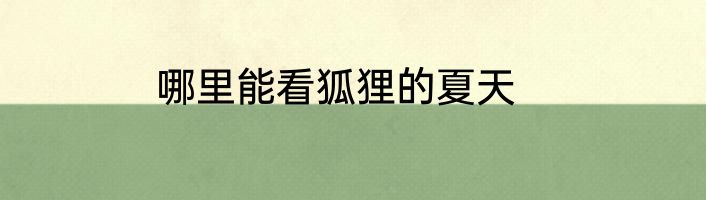 哪里能看狐狸的夏天