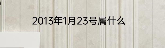2013年1月23号属什么