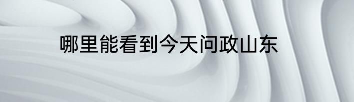 哪里能看到今天问政山东