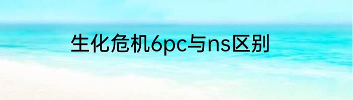 生化危机6pc与ns区别