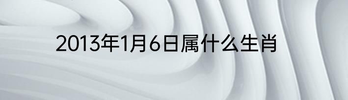 2013年1月6日属什么生肖