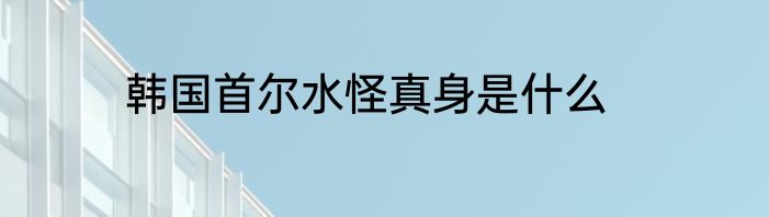 韩国首尔水怪真身是什么