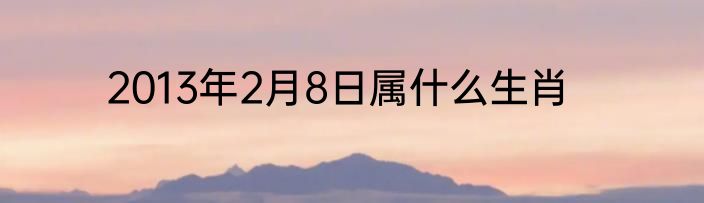 2013年2月8日属什么生肖
