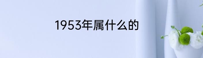 1953年属什么的