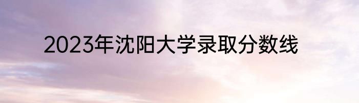 2023年沈阳大学录取分数线