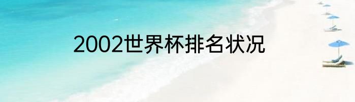 2002世界杯排名状况
