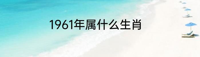 1961年属什么生肖