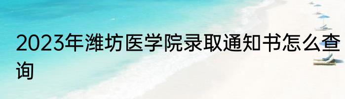 2023年潍坊医学院录取通知书怎么查询