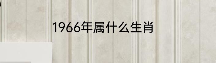 1966年属什么生肖