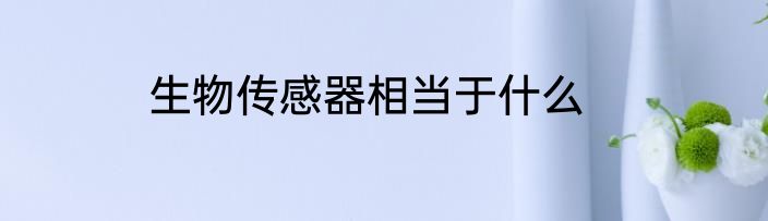生物传感器相当于什么