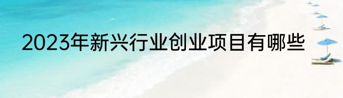 2023年新兴行业创业项目有哪些
