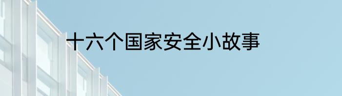 十六个国家安全小故事