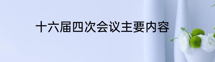 十六届四次会议主要内容