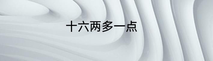 十六两多一点