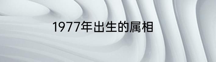 1977年出生的属相