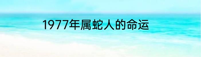 1977年属蛇人的命运