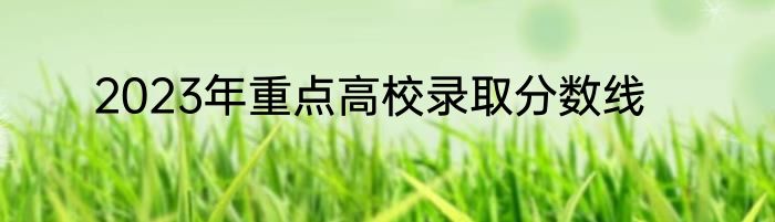 2023年重点高校录取分数线