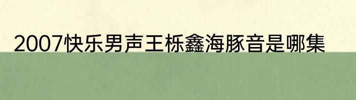 2007快乐男声王栎鑫海豚音是哪集
