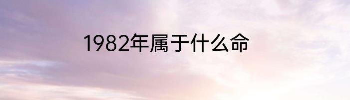 1982年属于什么命