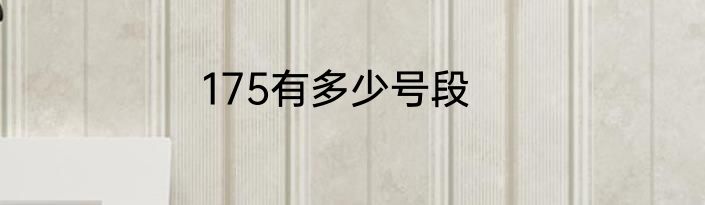 175有多少号段