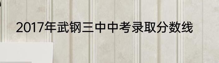 2017年武钢三中中考录取分数线
