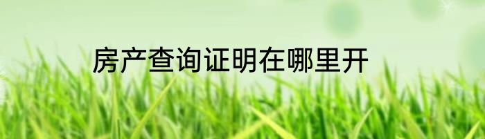 房产查询证明在哪里开