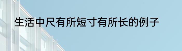 生活中尺有所短寸有所长的例子