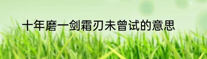 十年磨一剑霜刃未曾试的意思