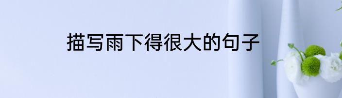描写雨下得很大的句子
