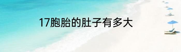 17胞胎的肚子有多大