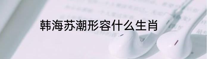 韩海苏潮形容什么生肖