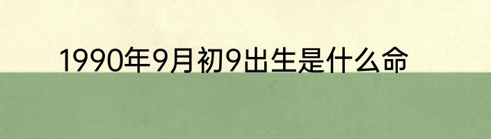 1990年9月初9出生是什么命
