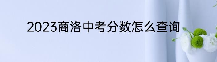 2023商洛中考分数怎么查询