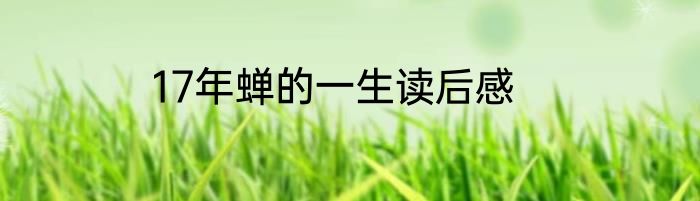 17年蝉的一生读后感